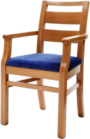 Dining Chair with Arms